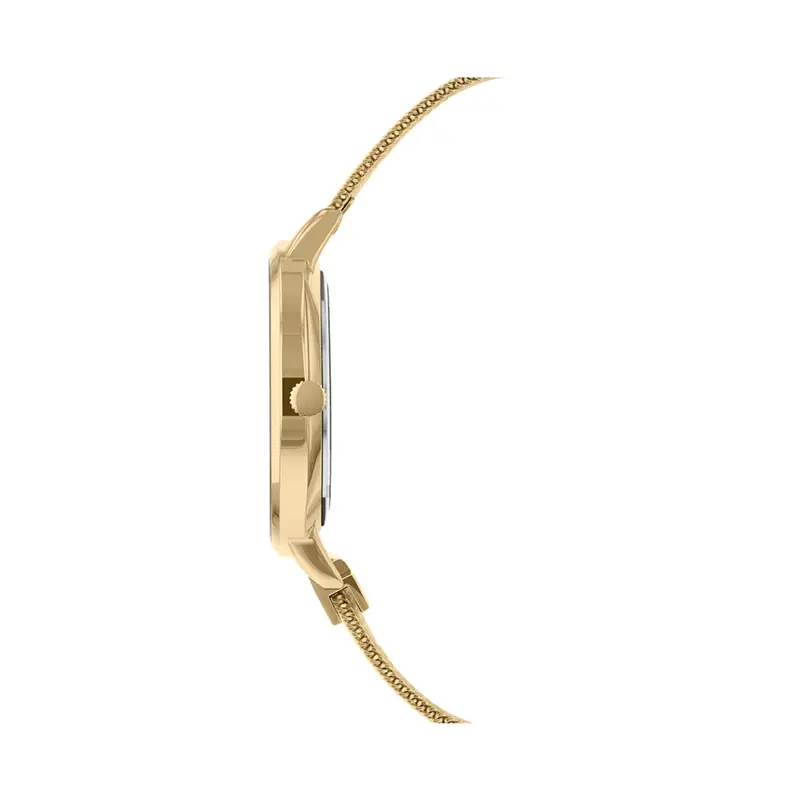 Sara Miller Swallow Gold Mesh Strap Women's Watch Sa4042 2