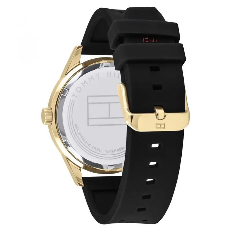 Tommy Hilfiger 1791636 Men's Watch 2